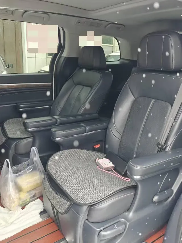 2021 GAC Trumpchi M8 2.0T 252HP L4 8AT,autocango,china used car exporter,china ev exporter,chinese used car exporter,chinese used ev exporter