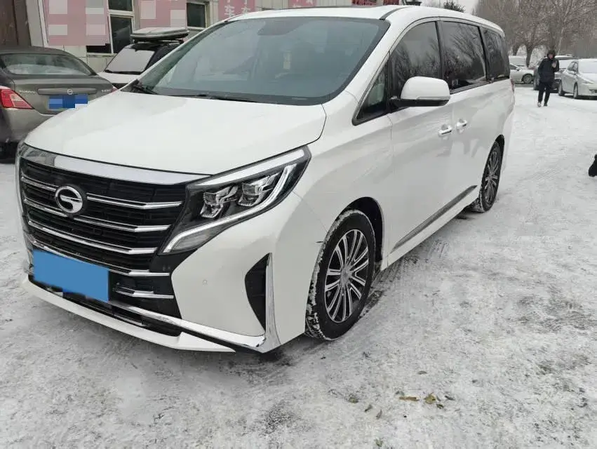 2021 GAC Trumpchi M8 2.0T 252HP L4 8AT