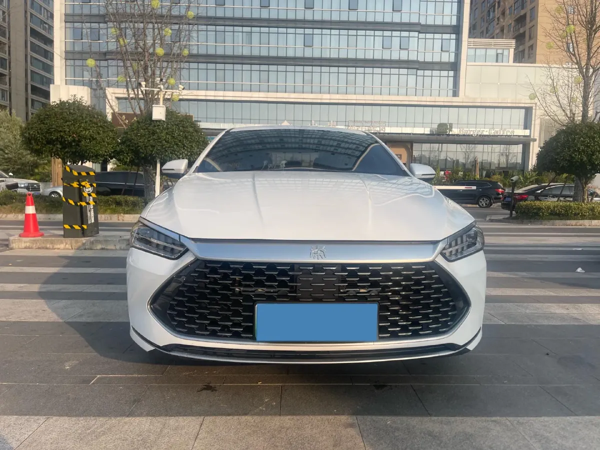 2021 BYD e2 BEV 43.2KWH,autocango,china used car exporter,china ev exporter,chinese used car exporter,chinese used ev exporter