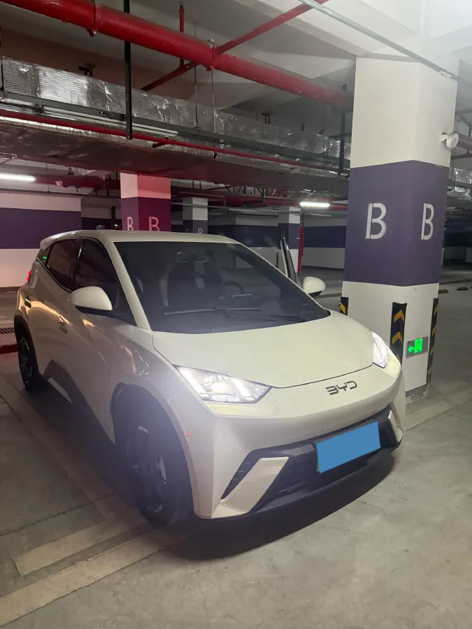 2024 BYD Seagull BEV 30.08KWH,autocango,china used car exporter,china ev exporter,chinese used car exporter,chinese used ev exporter