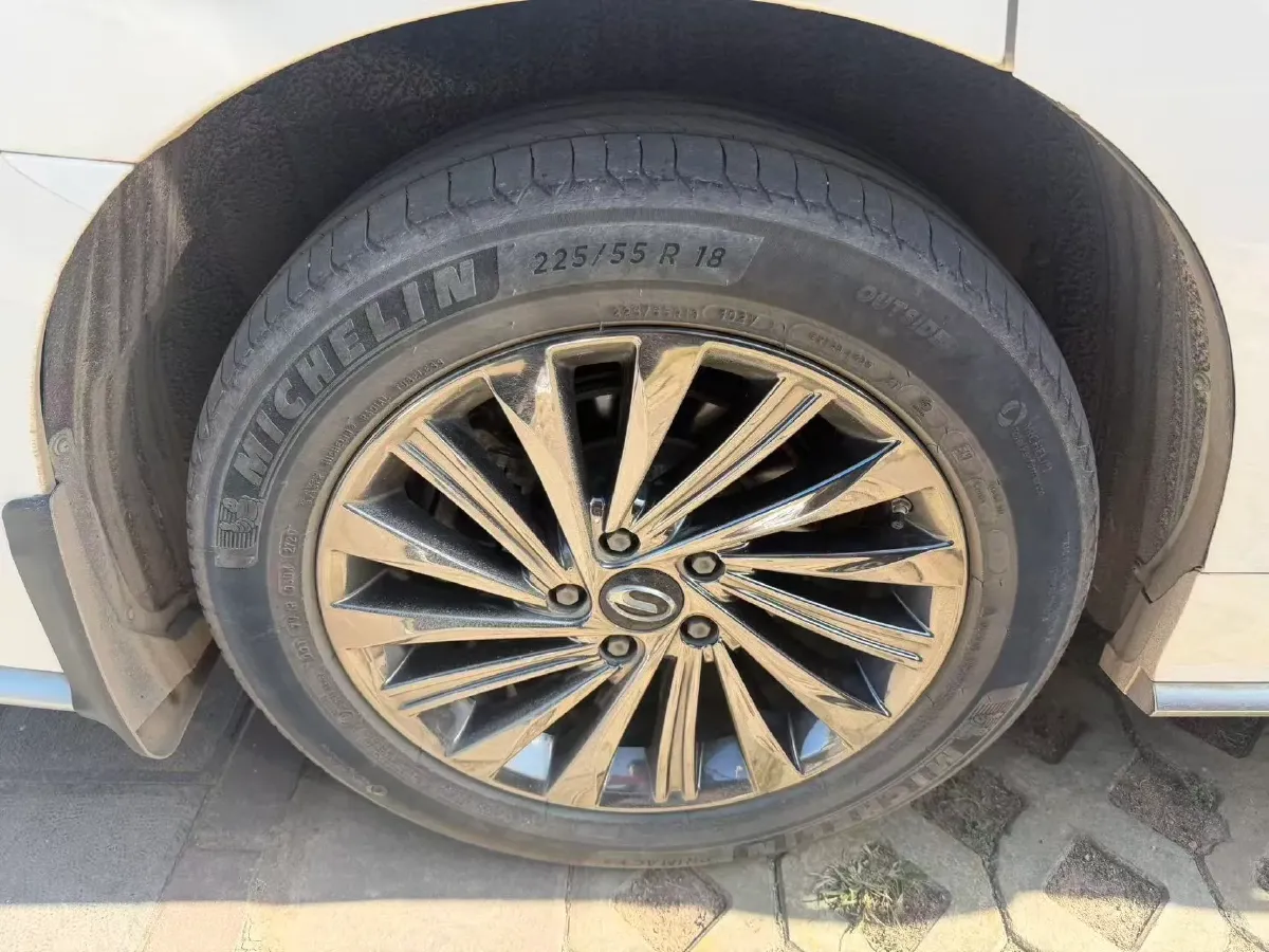 2021 GAC Trumpchi M8 2.0T 252HP L4 8AT,autocango,china used car exporter,china ev exporter,chinese used car exporter,chinese used ev exporter