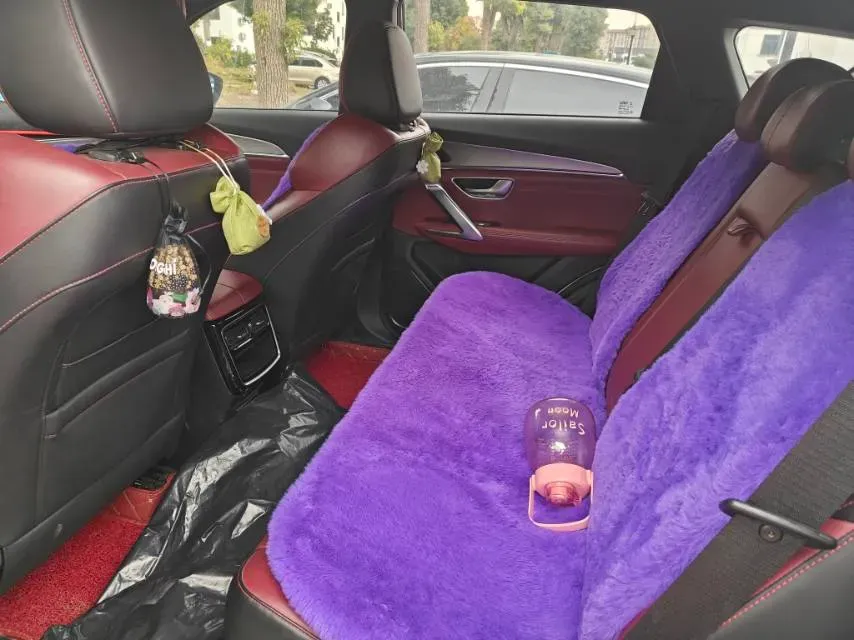 2021 Jetour X70 Plus 1.6T 197HP L4 7DCT,autocango,china used car exporter,china ev exporter,chinese used car exporter,chinese used ev exporter