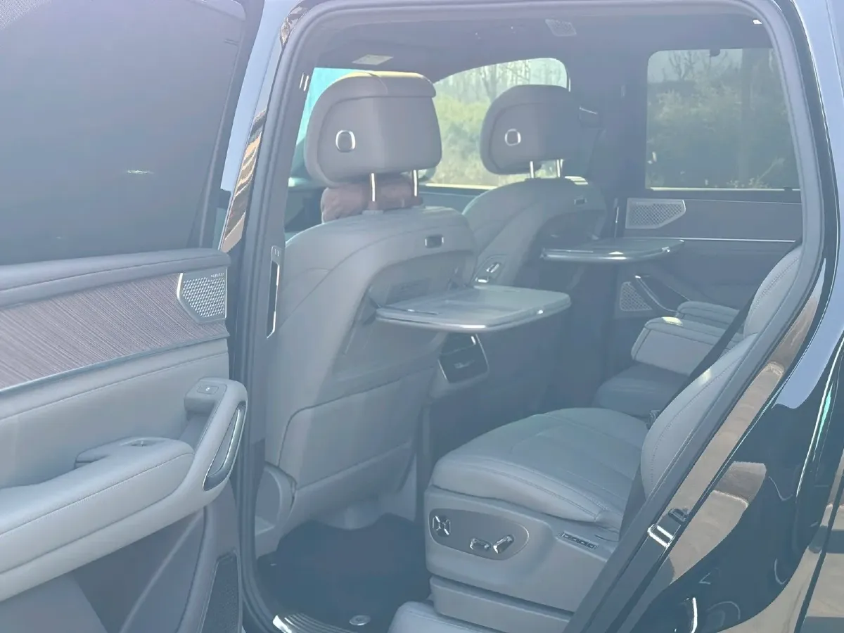 2025 Denza DenzaN9 2.0T 207HP L4 E-CVT PHEV,autocango,china used car exporter,china ev exporter,chinese used car exporter,chinese used ev exporter