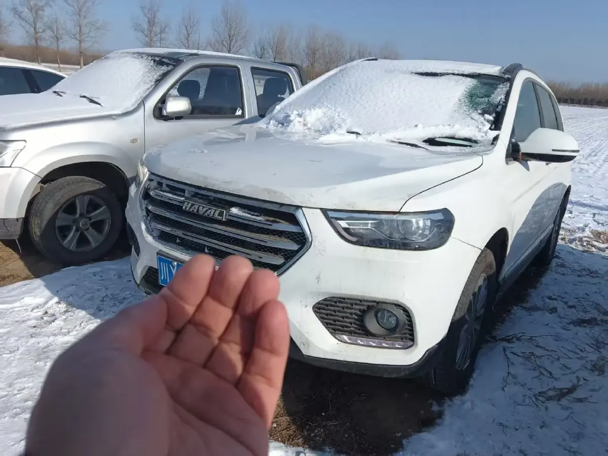2018 Haval H6 1.5T 150HP L4 7DCT