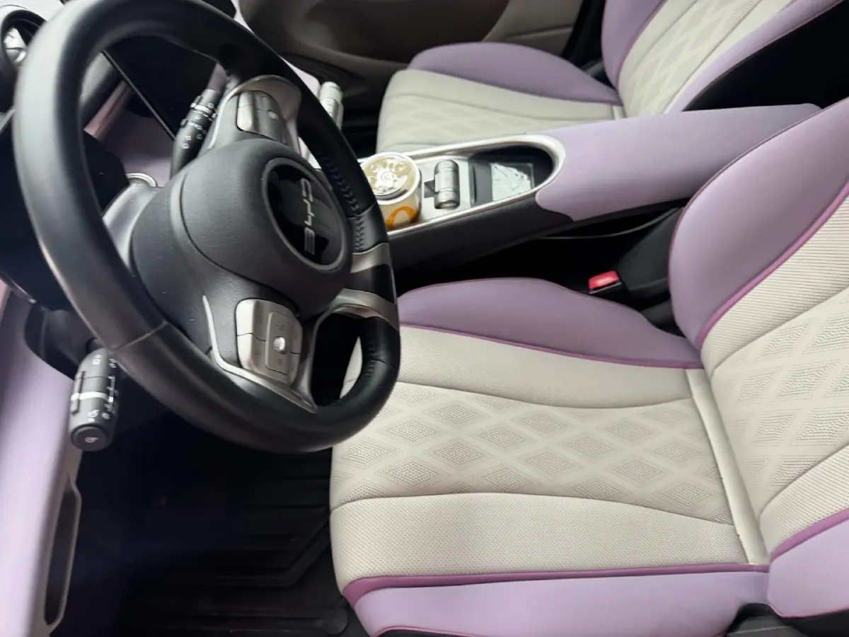 2023 BYD Dolphin BEV 44.928KWH,autocango,china used car exporter,china ev exporter,chinese used car exporter,chinese used ev exporter