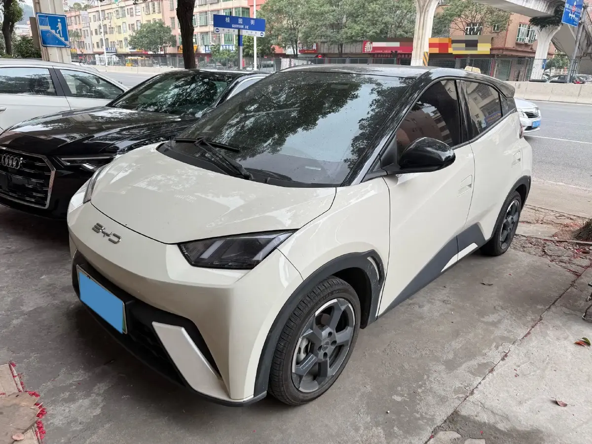 2023 BYD Yuan Pro BEV 38KWH