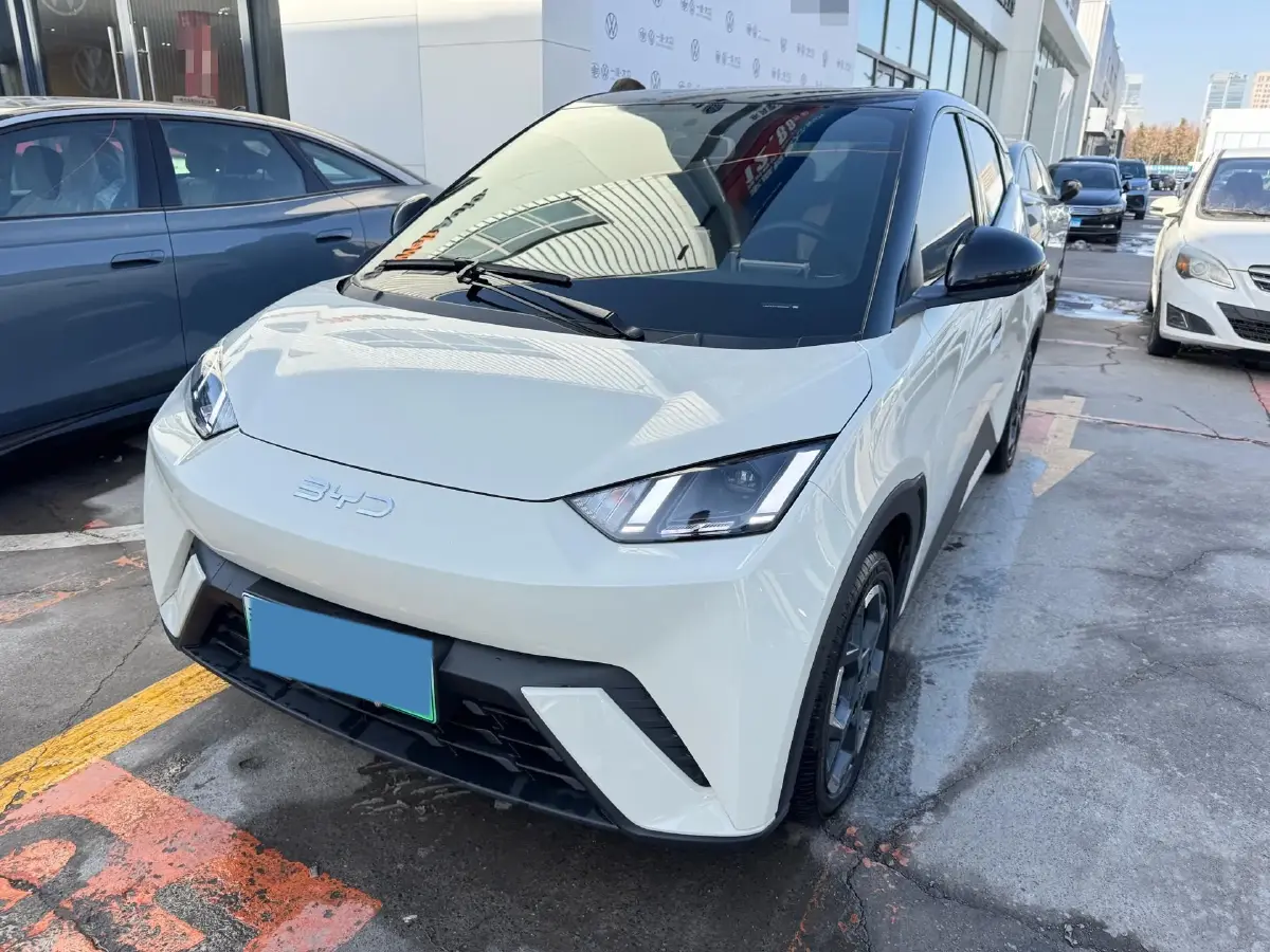 2025 BYD Seagull BEV 38.88KWH