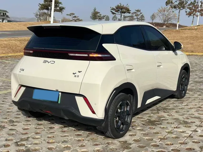 2025 BYD Seagull BEV 30.08KWH,autocango,china used car exporter,china ev exporter,chinese used car exporter,chinese used ev exporter