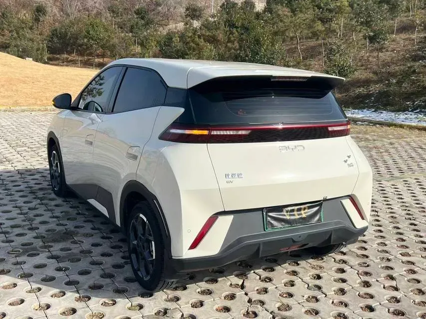 2025 BYD Seagull BEV 30.08KWH,autocango,china used car exporter,china ev exporter,chinese used car exporter,chinese used ev exporter