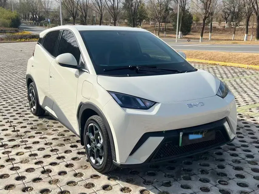 2025 BYD Seagull BEV 30.08KWH,autocango,china used car exporter,china ev exporter,chinese used car exporter,chinese used ev exporter