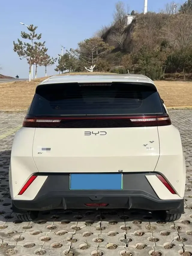 2025 BYD Seagull BEV 30.08KWH,autocango,china used car exporter,china ev exporter,chinese used car exporter,chinese used ev exporter