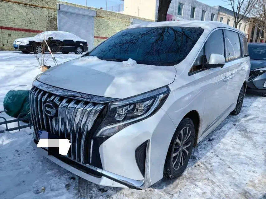 2021 GAC Trumpchi M8 2.0T 252HP L4 8AT