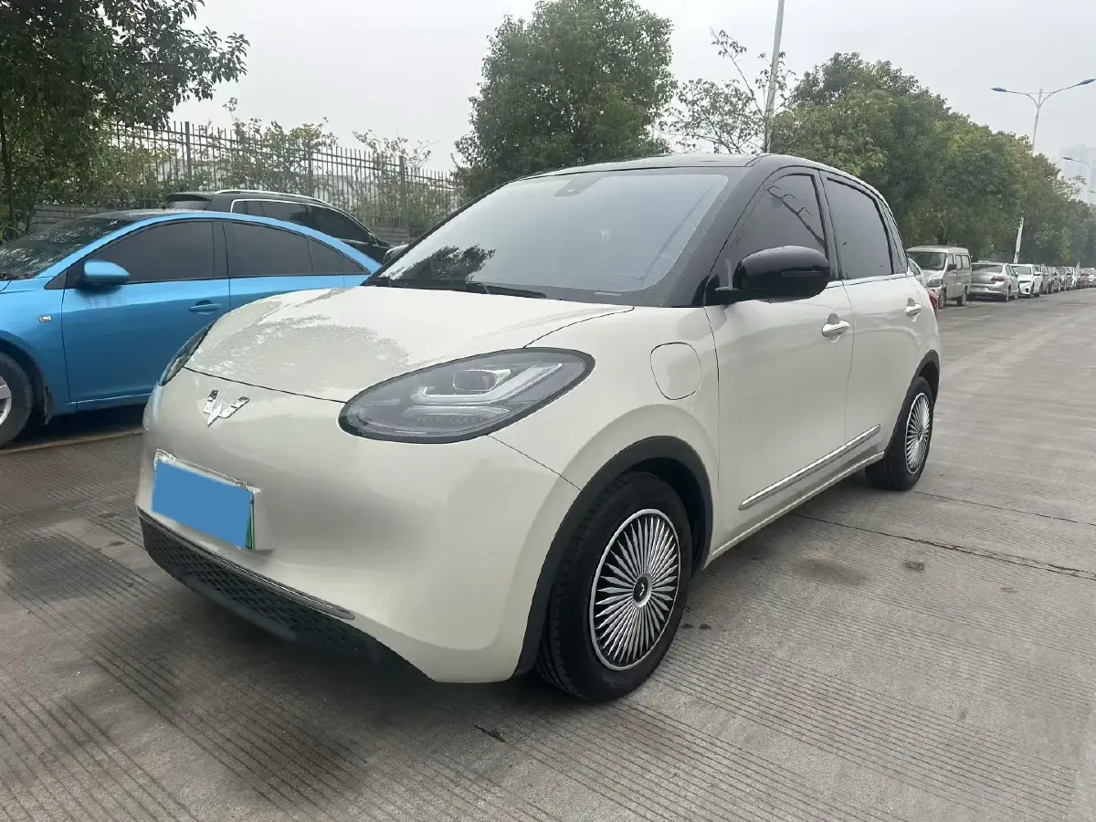 2023 WuLing BinGuo BEV 37.9KWH