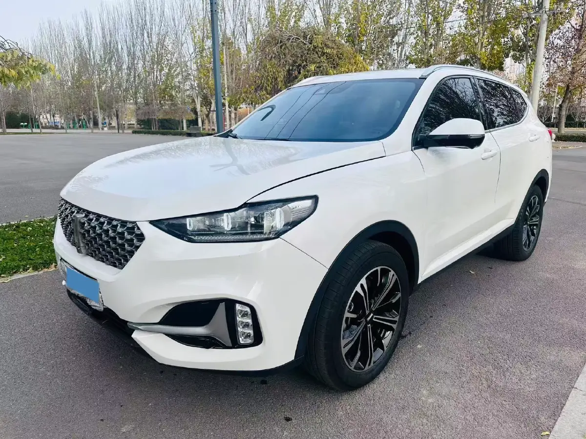 2021 WEY VV6 2.0T 227HP L4 7DCT