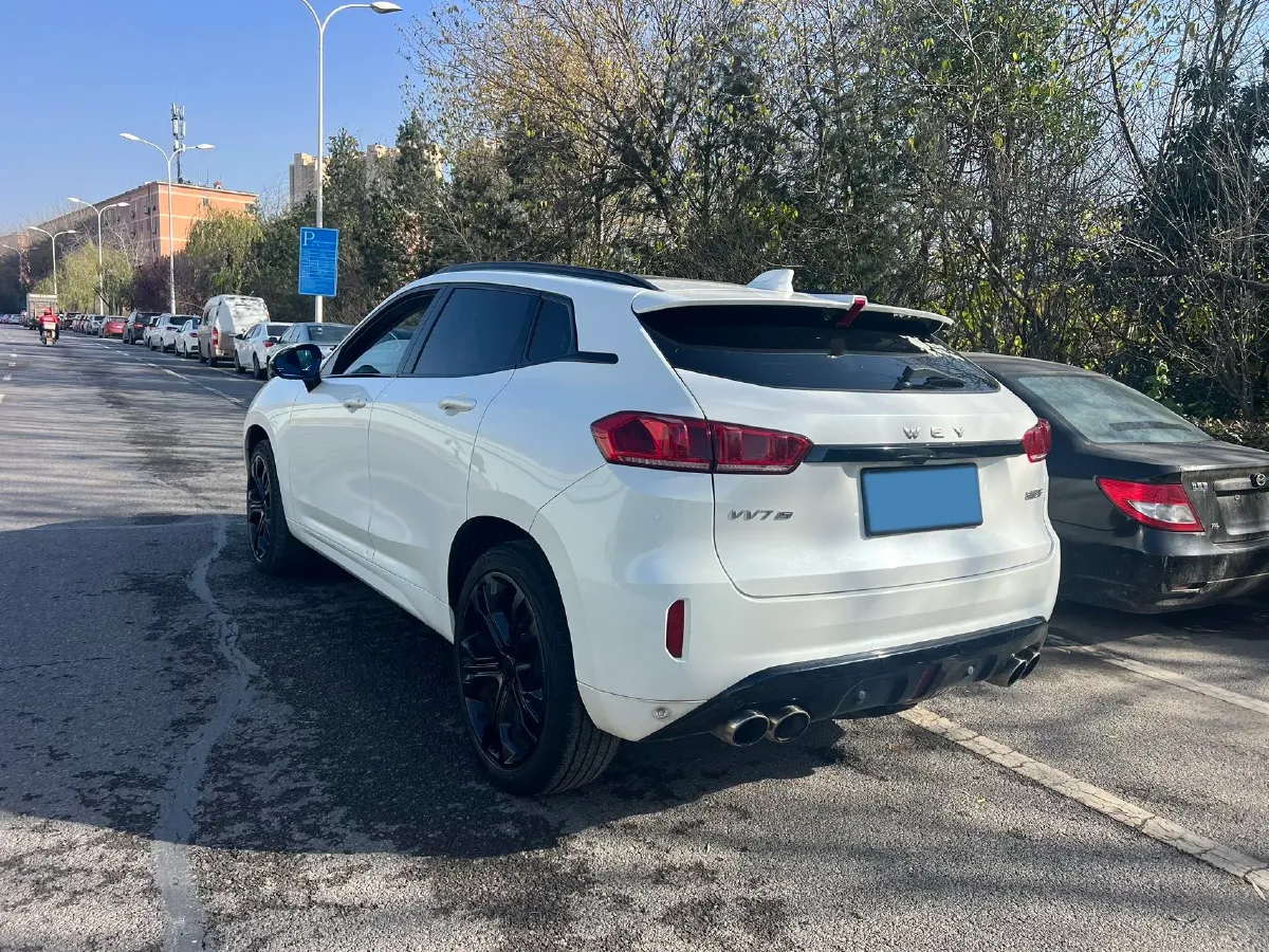 2017 WEY VV7 2.0T 234HP L4 7DCT,autocango,china used car exporter,china ev exporter,chinese used car exporter,chinese used ev exporter