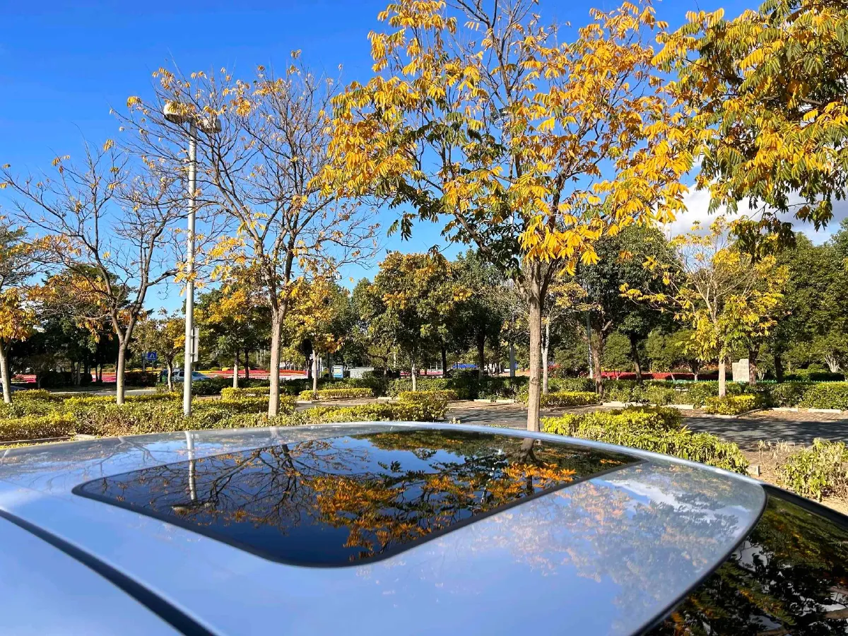 2019 Toyota Camry 2.0L 178HP L4 CVT,autocango,china used car exporter,china ev exporter,chinese used car exporter,chinese used ev exporter