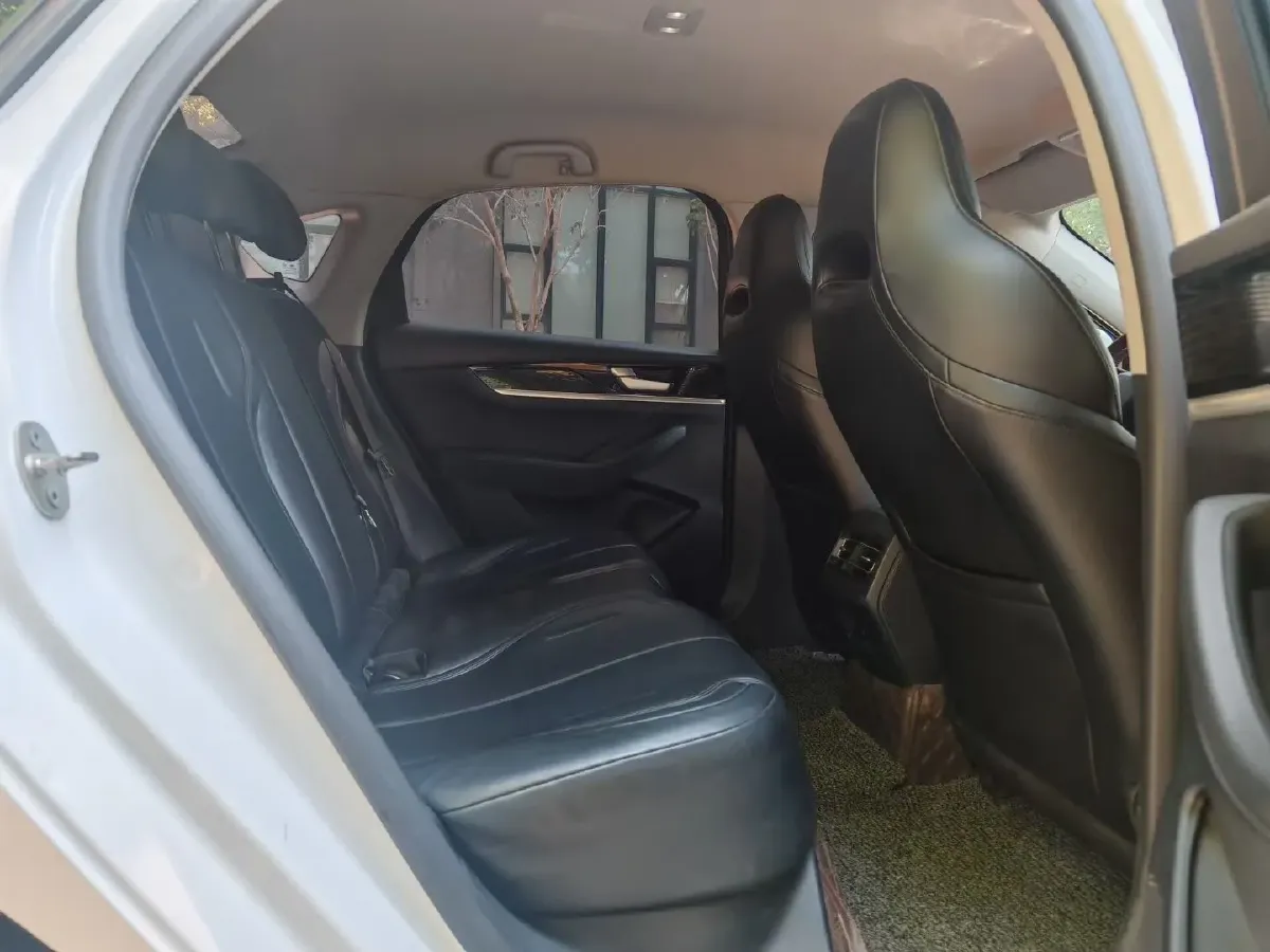 2021 DongFeng FuKang e Elysee BEV 38.4KWH,autocango,china used car exporter,china ev exporter,chinese used car exporter,chinese used ev exporter