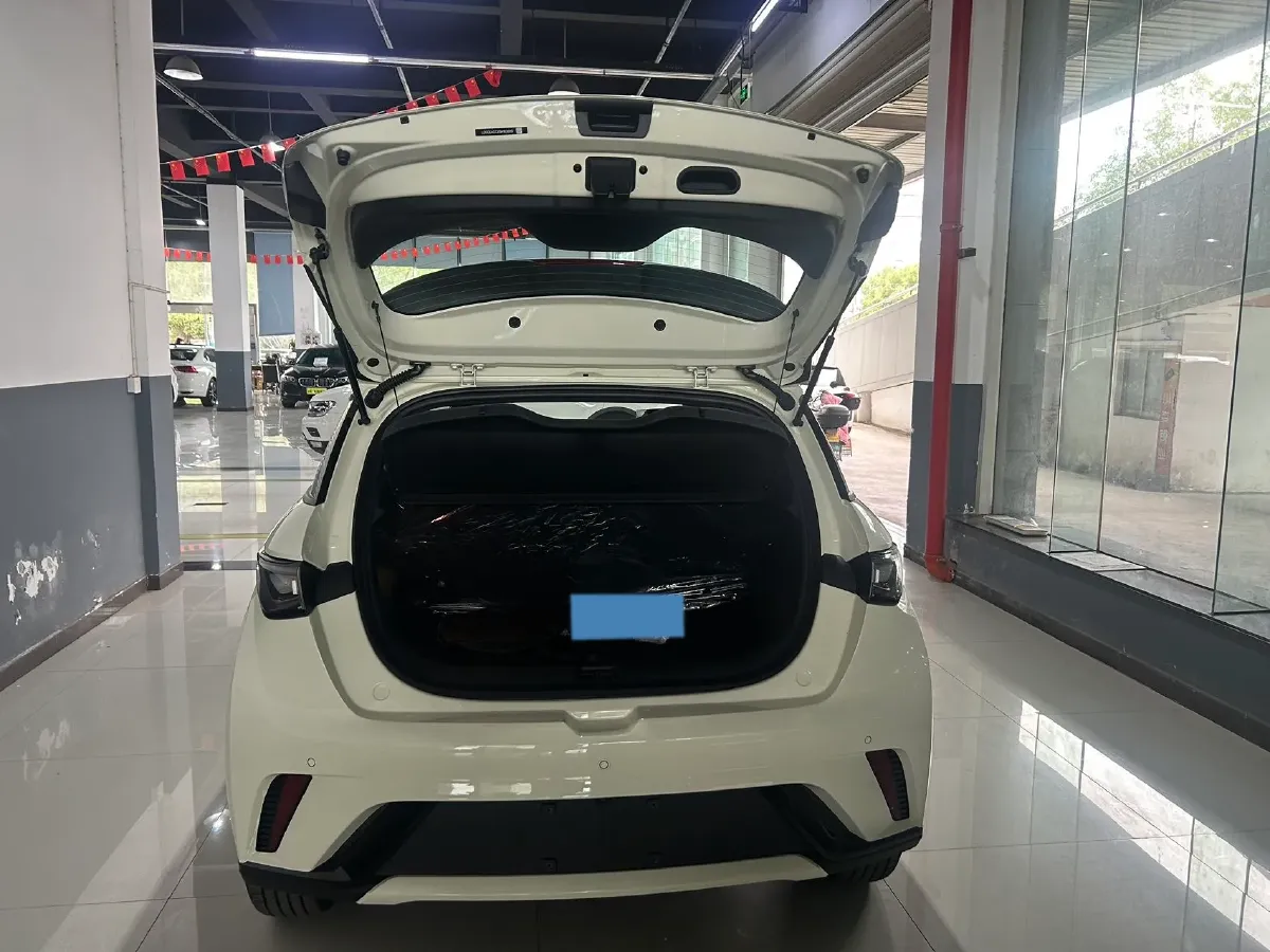 2025 BYD Dolphin BEV 44.928KWH,autocango,china used car exporter,china ev exporter,chinese used car exporter,chinese used ev exporter