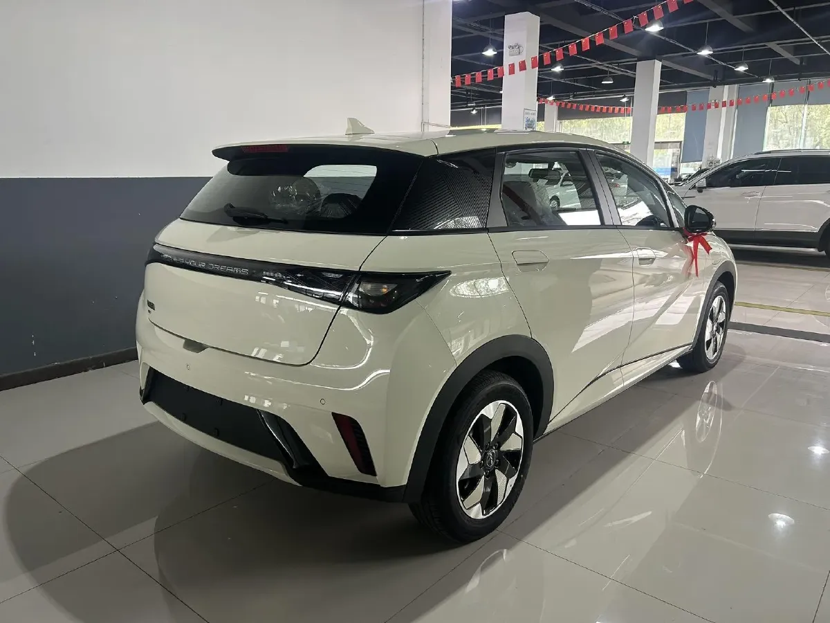 2025 BYD Dolphin BEV 44.928KWH,autocango,china used car exporter,china ev exporter,chinese used car exporter,chinese used ev exporter