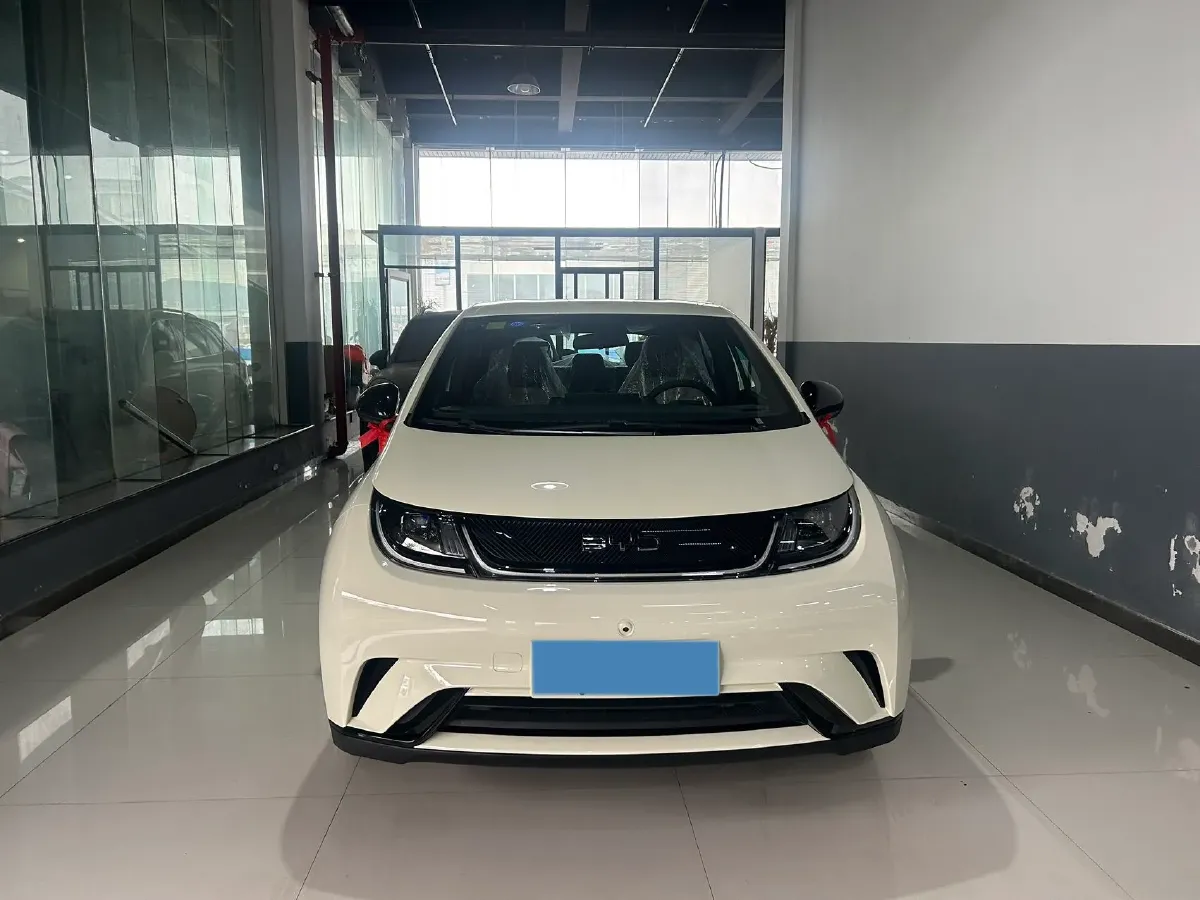 2025 BYD Dolphin BEV 44.928KWH,autocango,china used car exporter,china ev exporter,chinese used car exporter,chinese used ev exporter