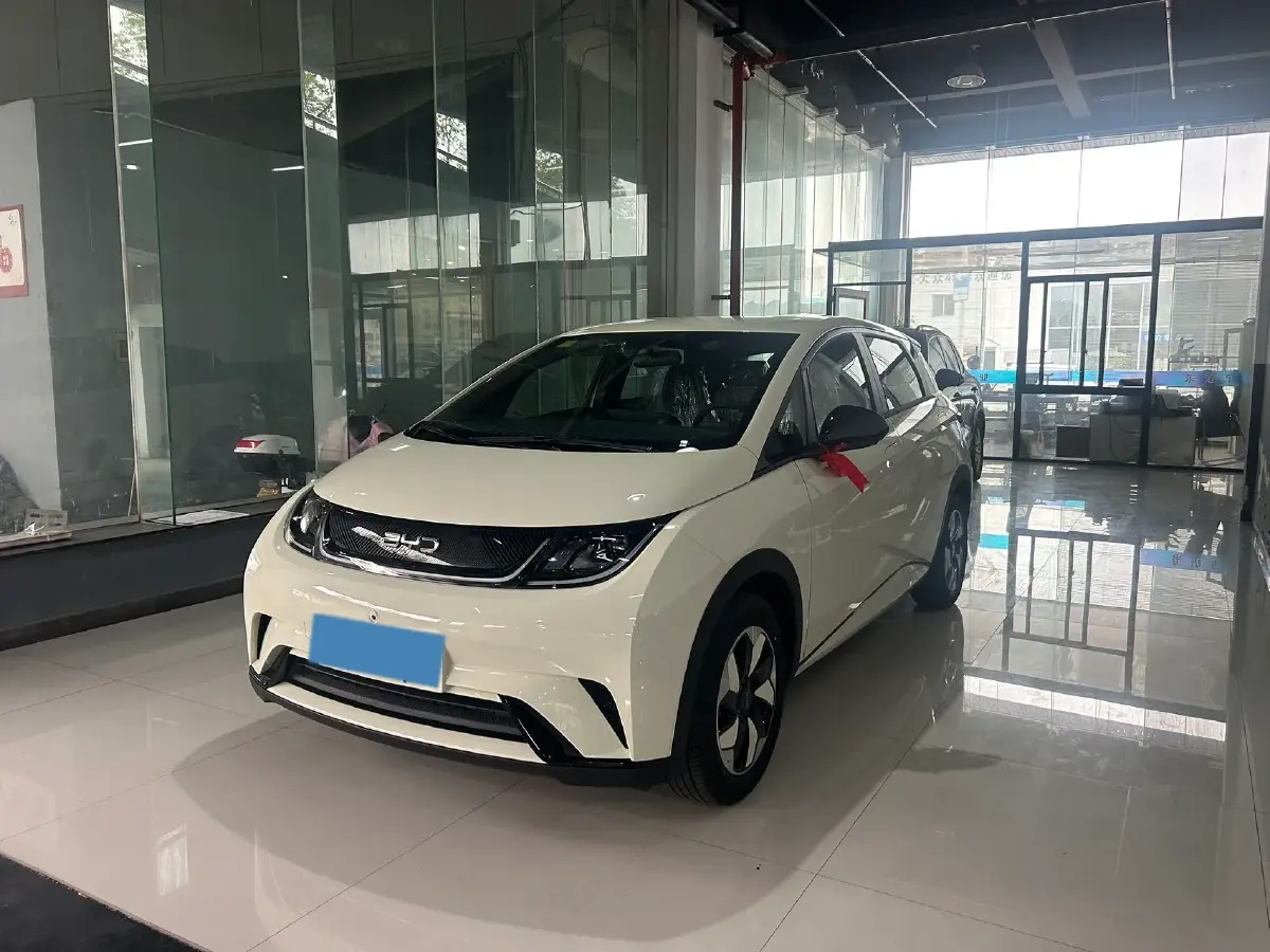 2025 BYD Dolphin BEV 44.928KWH