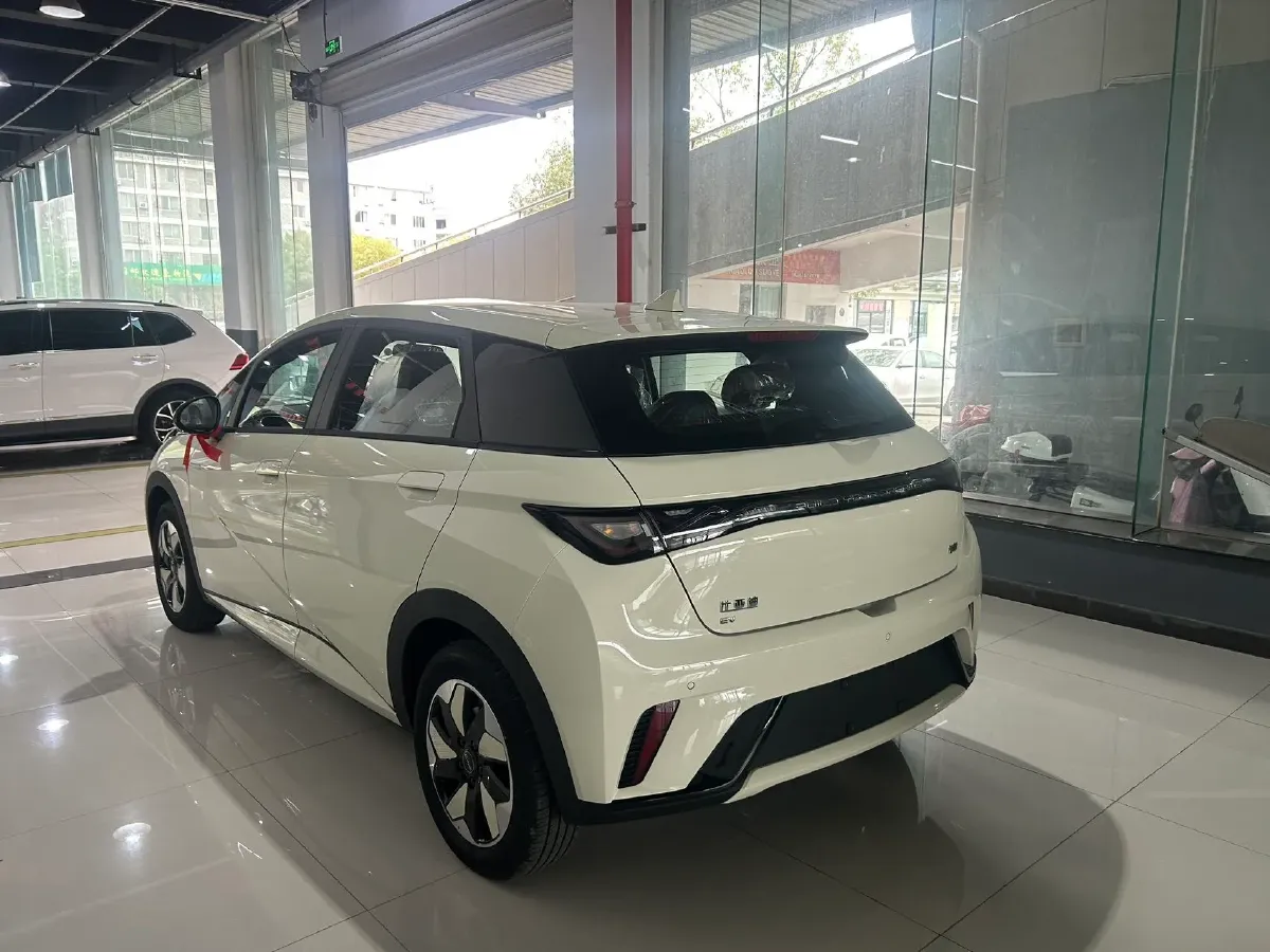 2025 BYD Dolphin BEV 44.928KWH,autocango,china used car exporter,china ev exporter,chinese used car exporter,chinese used ev exporter