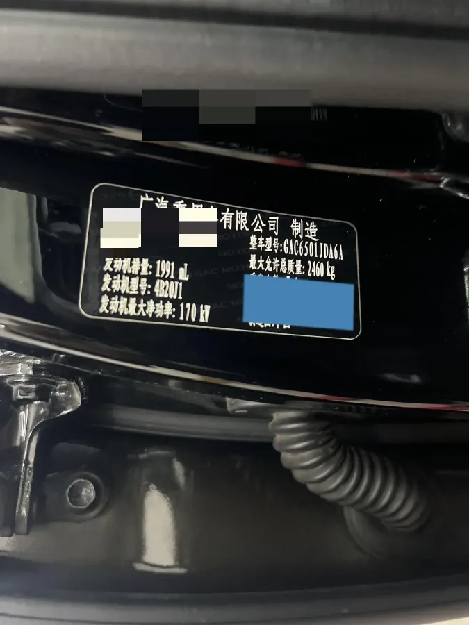 2022 GAC Trumpchi GS8 2.0T 252HP L4 8AT,autocango,china used car exporter,china ev exporter,chinese used car exporter,chinese used ev exporter