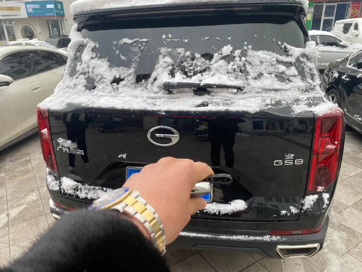 2024 GAC Trumpchi GS8 2.0T 252HP L4 8AT,autocango,china used car exporter,china ev exporter,chinese used car exporter,chinese used ev exporter