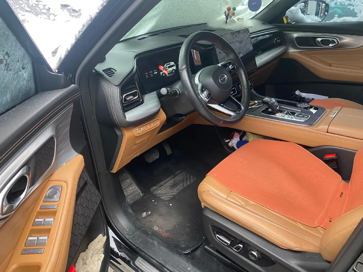 2024 GAC Trumpchi GS8 2.0T 252HP L4 8AT,autocango,china used car exporter,china ev exporter,chinese used car exporter,chinese used ev exporter