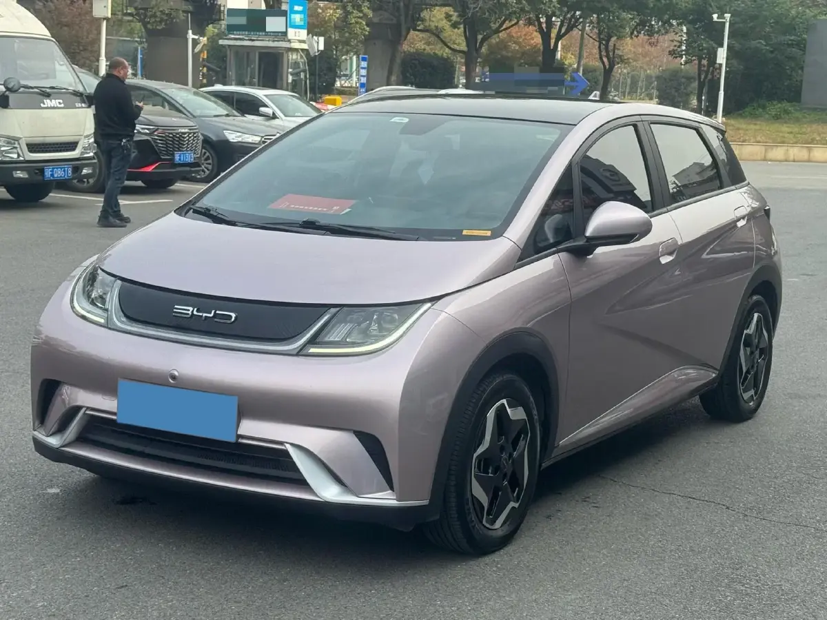 2021 BYD Yuan Pro BEV 50.1KWH