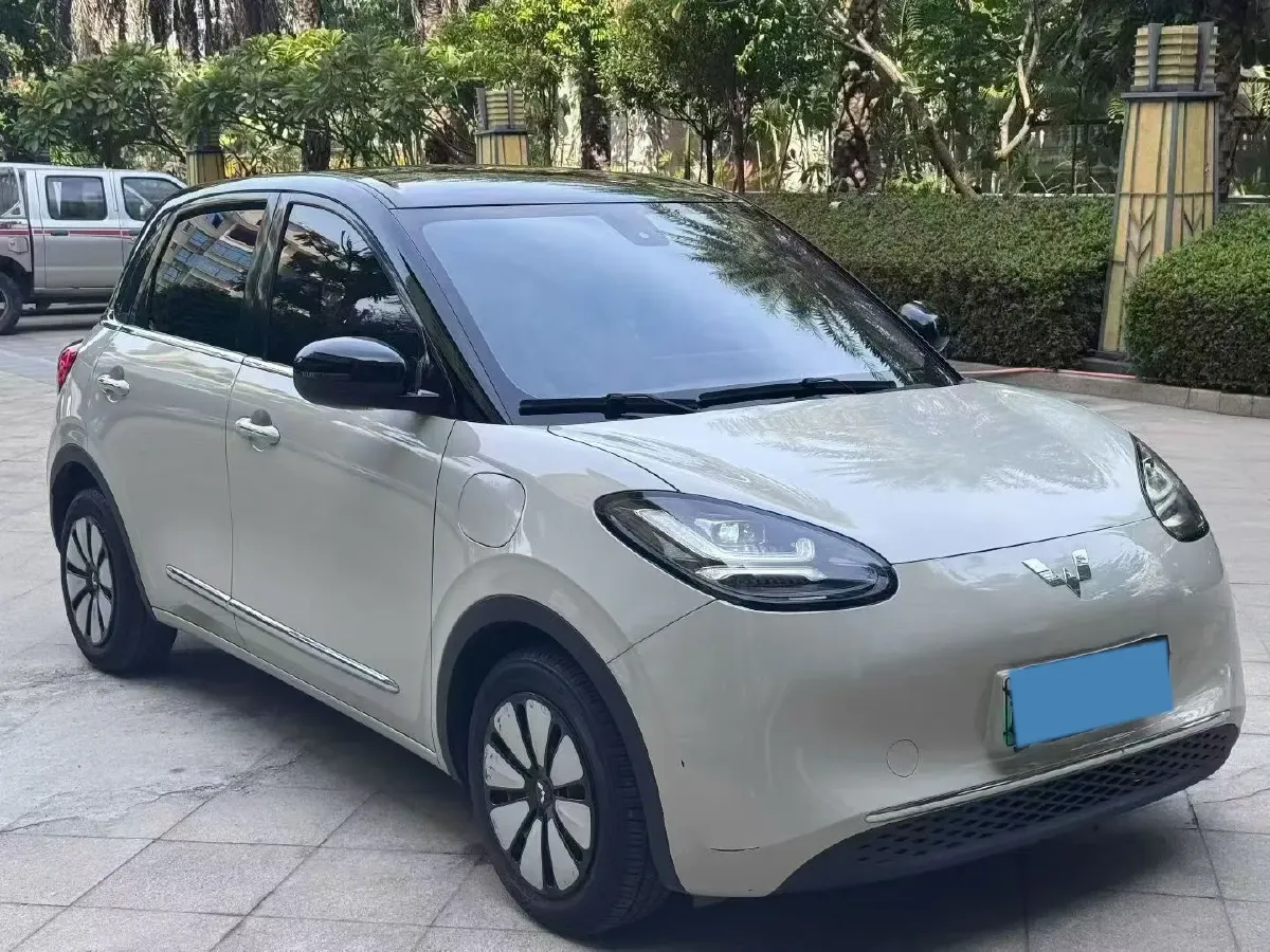 2023 WuLing BinGuo BEV 31.9KWH,autocango,china used car exporter,china ev exporter,chinese used car exporter,chinese used ev exporter