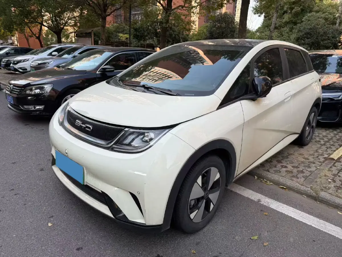 2023 BYD Dolphin BEV 44.928KWH