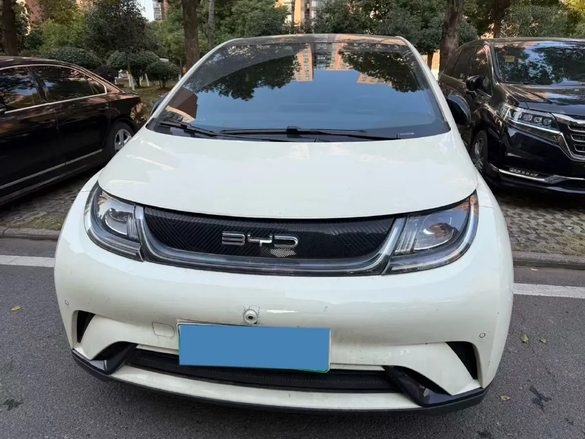2023 BYD Dolphin BEV 44.928KWH,autocango,china used car exporter,china ev exporter,chinese used car exporter,chinese used ev exporter