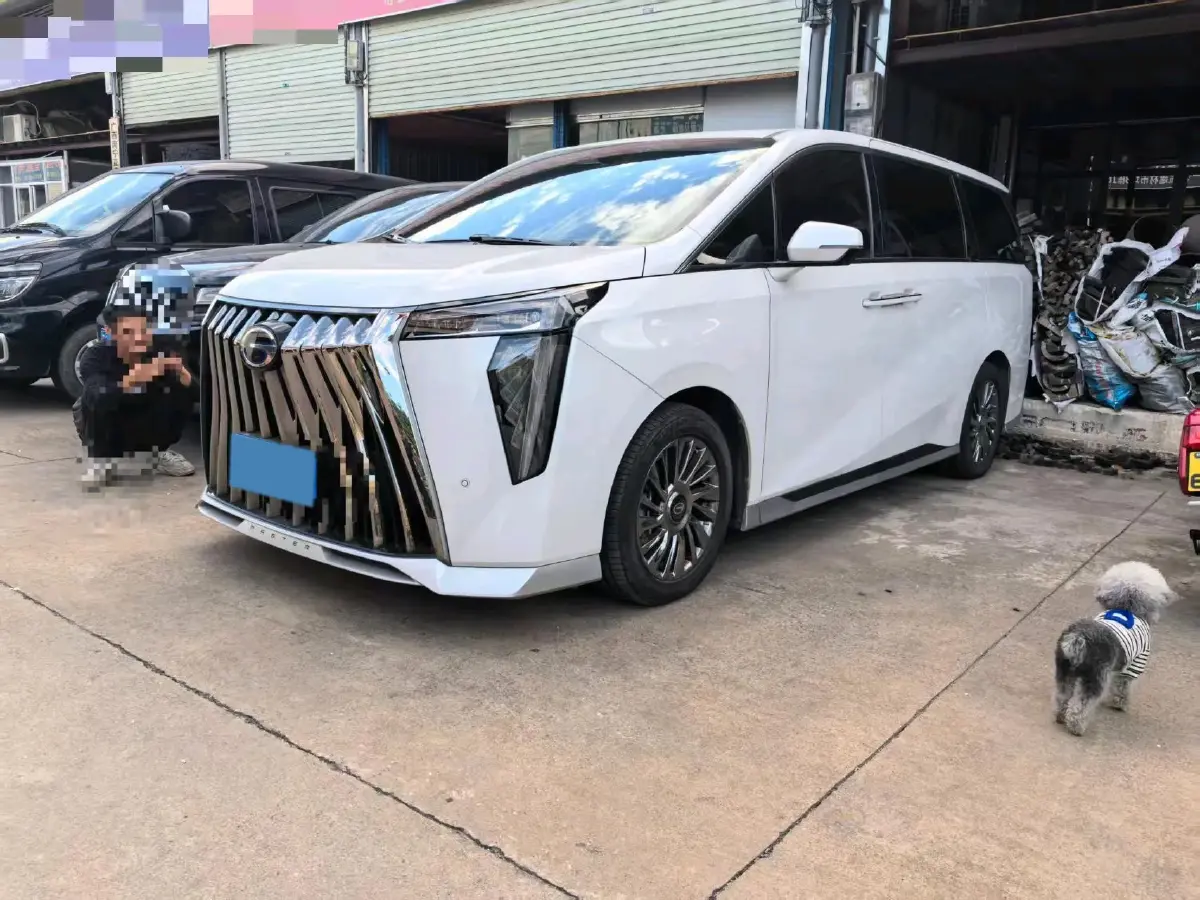 2023 GAC Trumpchi M8 2.0T 190HP L4 E-CVT Hybrid