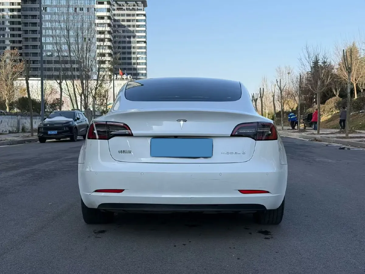 2021 Tesla Model 3 BEV 55KWH,autocango,china used car exporter,china ev exporter,chinese used car exporter,chinese used ev exporter