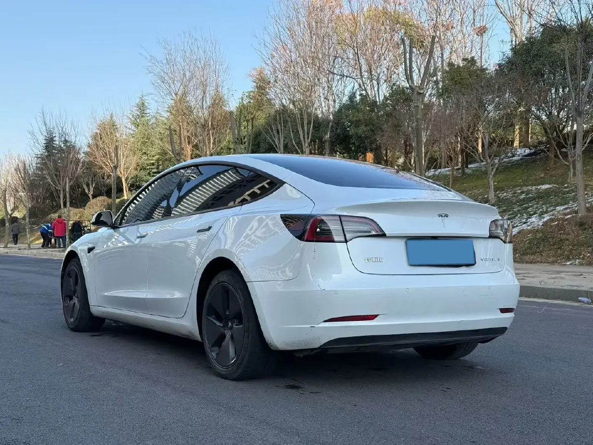 2021 Tesla Model 3 BEV 55KWH,autocango,china used car exporter,china ev exporter,chinese used car exporter,chinese used ev exporter