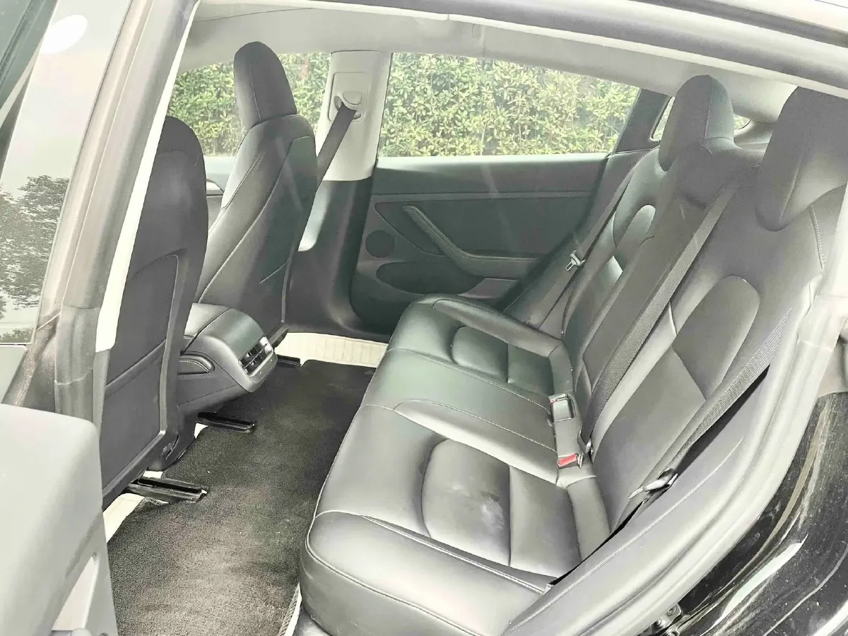 2021 Tesla Model 3 BEV 55KWH,autocango,china used car exporter,china ev exporter,chinese used car exporter,chinese used ev exporter