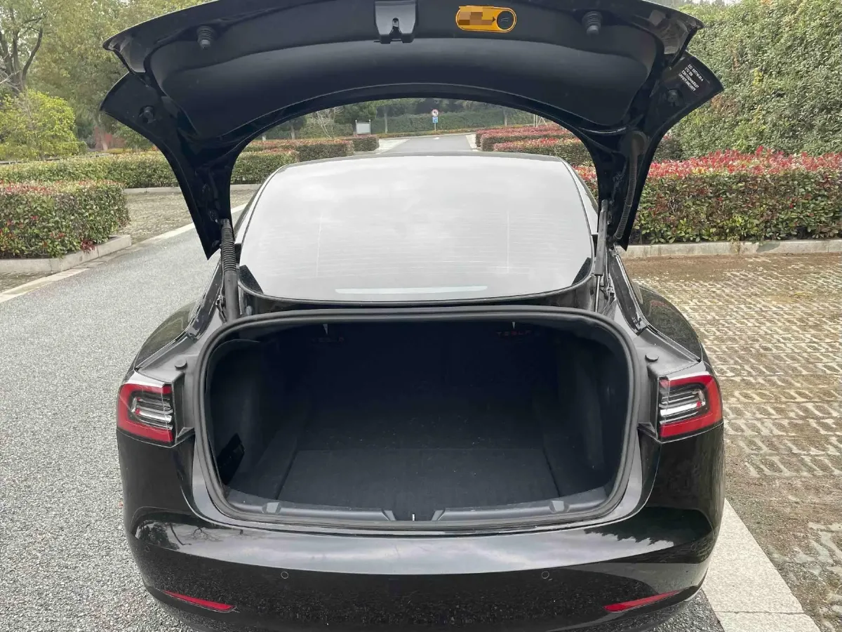 2021 Tesla Model 3 BEV 55KWH,autocango,china used car exporter,china ev exporter,chinese used car exporter,chinese used ev exporter