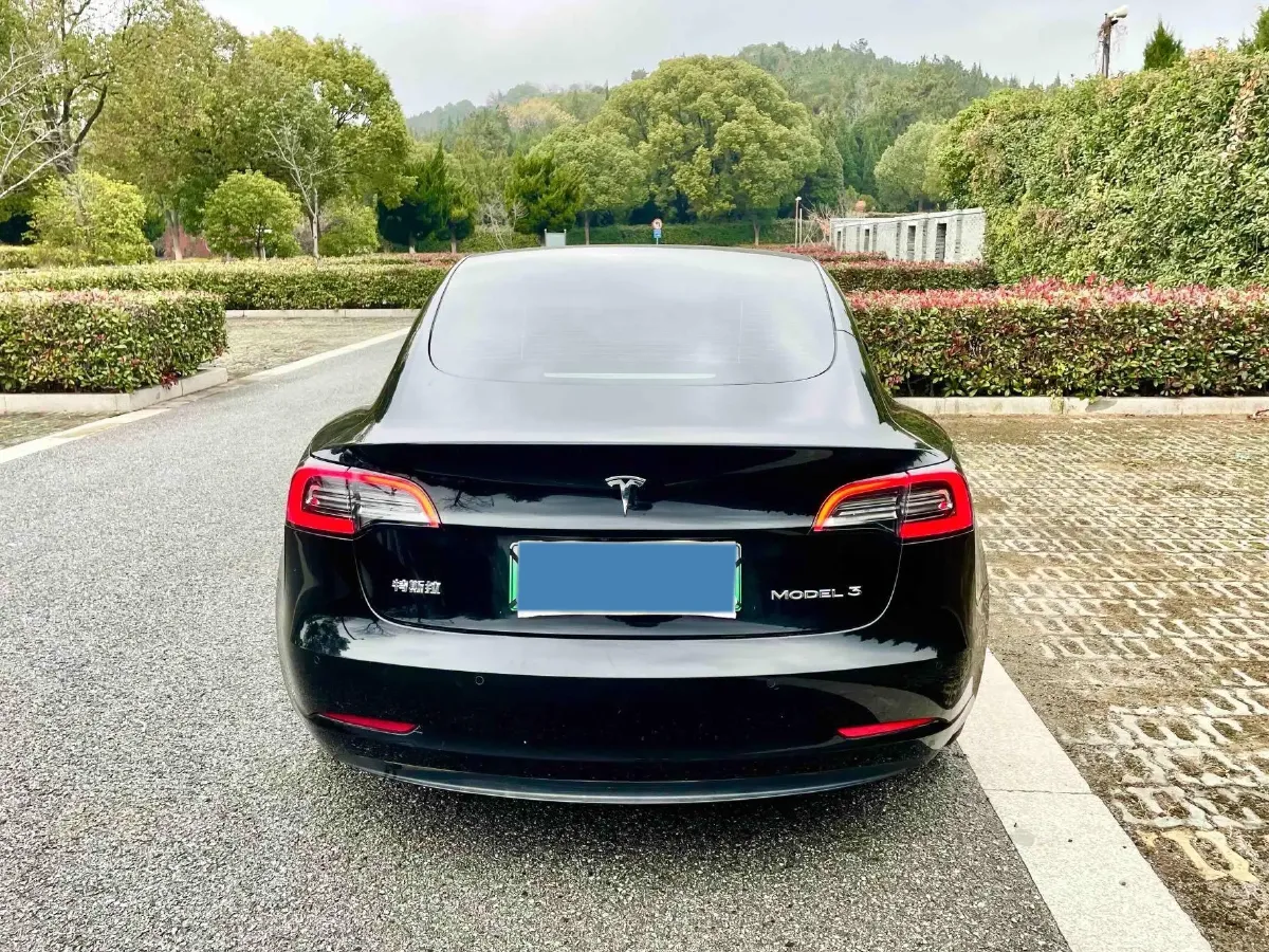 2021 Tesla Model 3 BEV 55KWH,autocango,china used car exporter,china ev exporter,chinese used car exporter,chinese used ev exporter