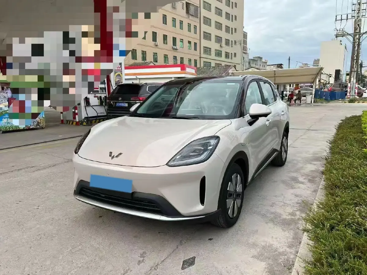 2025 WuLing BinGuo BEV