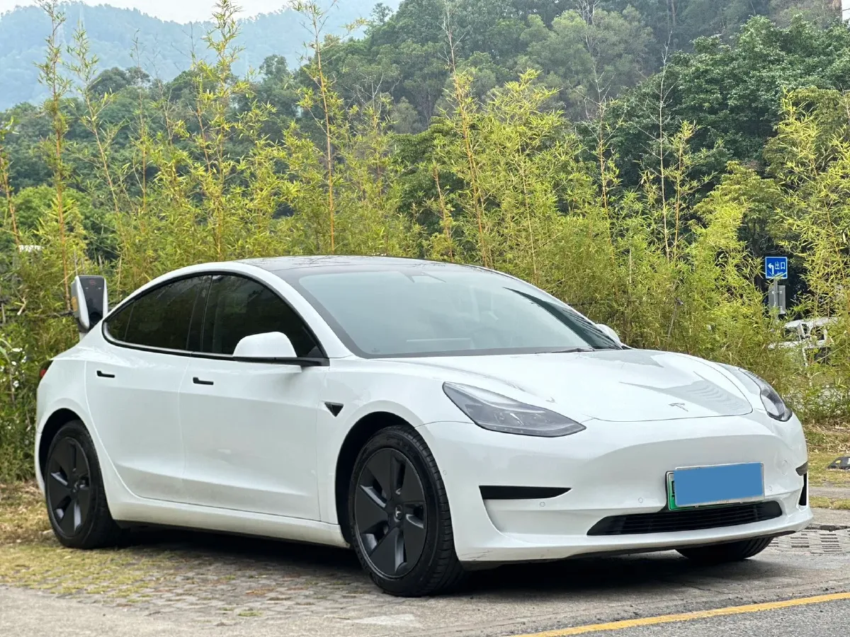 2021 Tesla Model 3 BEV 55KWH,autocango,china used car exporter,china ev exporter,chinese used car exporter,chinese used ev exporter