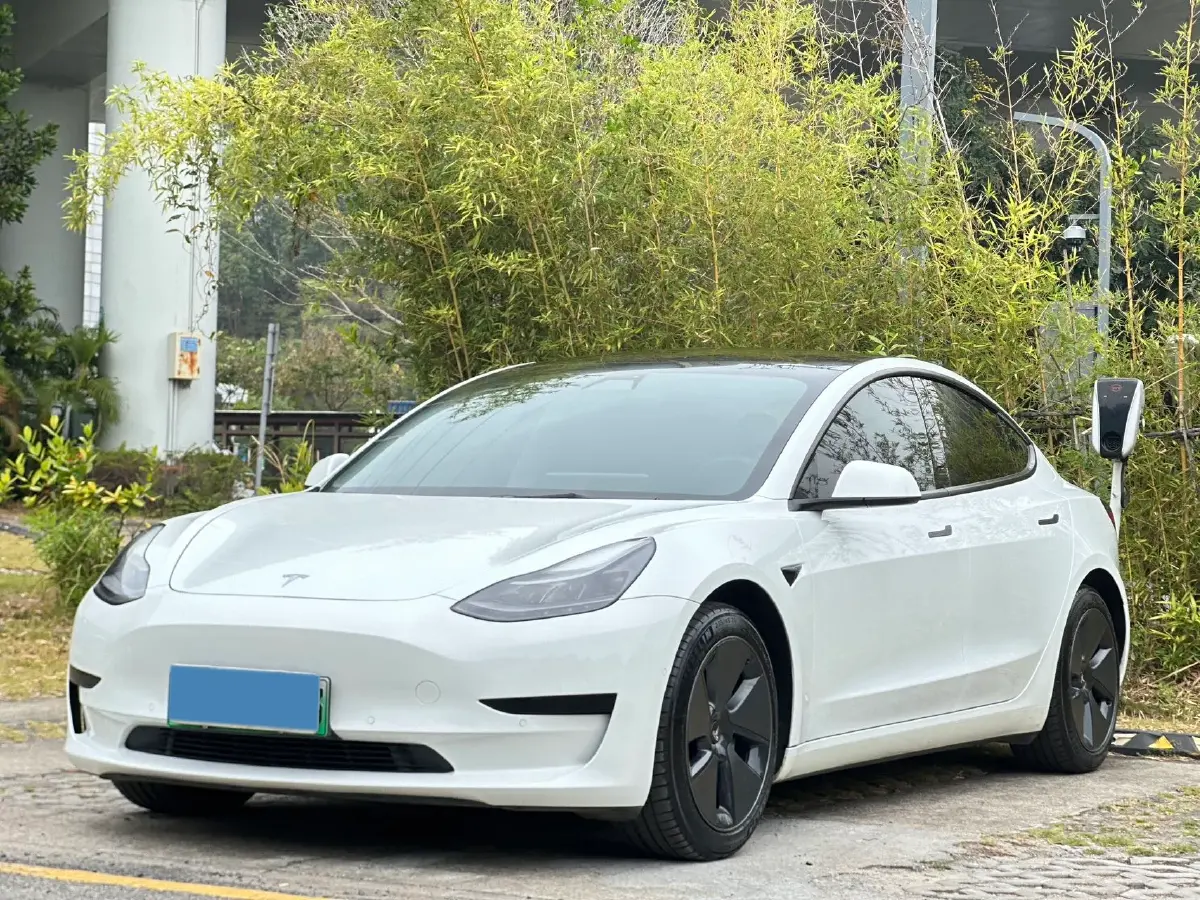 2021 Tesla Model 3 BEV 55KWH