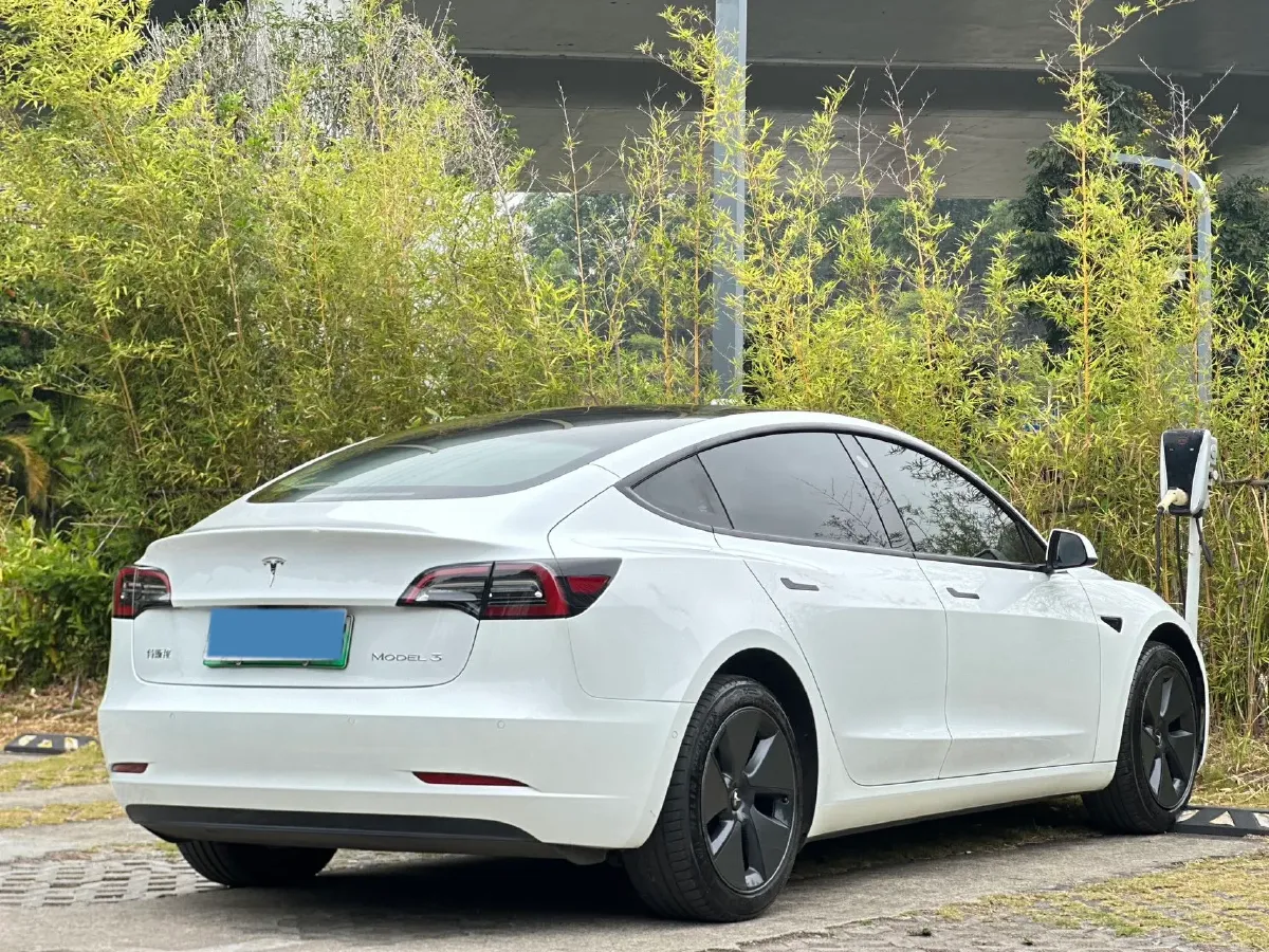 2021 Tesla Model 3 BEV 55KWH,autocango,china used car exporter,china ev exporter,chinese used car exporter,chinese used ev exporter