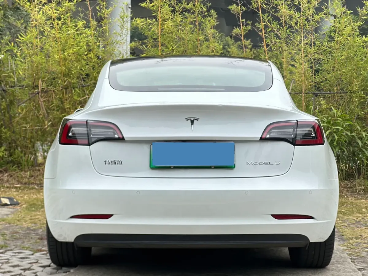 2021 Tesla Model 3 BEV 55KWH,autocango,china used car exporter,china ev exporter,chinese used car exporter,chinese used ev exporter