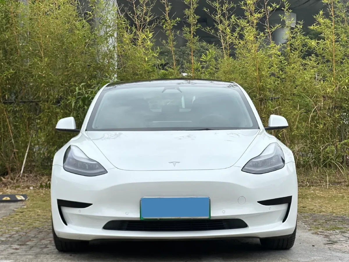 2021 Tesla Model 3 BEV 55KWH,autocango,china used car exporter,china ev exporter,chinese used car exporter,chinese used ev exporter