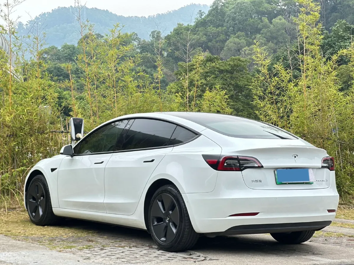 2021 Tesla Model 3 BEV 55KWH,autocango,china used car exporter,china ev exporter,chinese used car exporter,chinese used ev exporter
