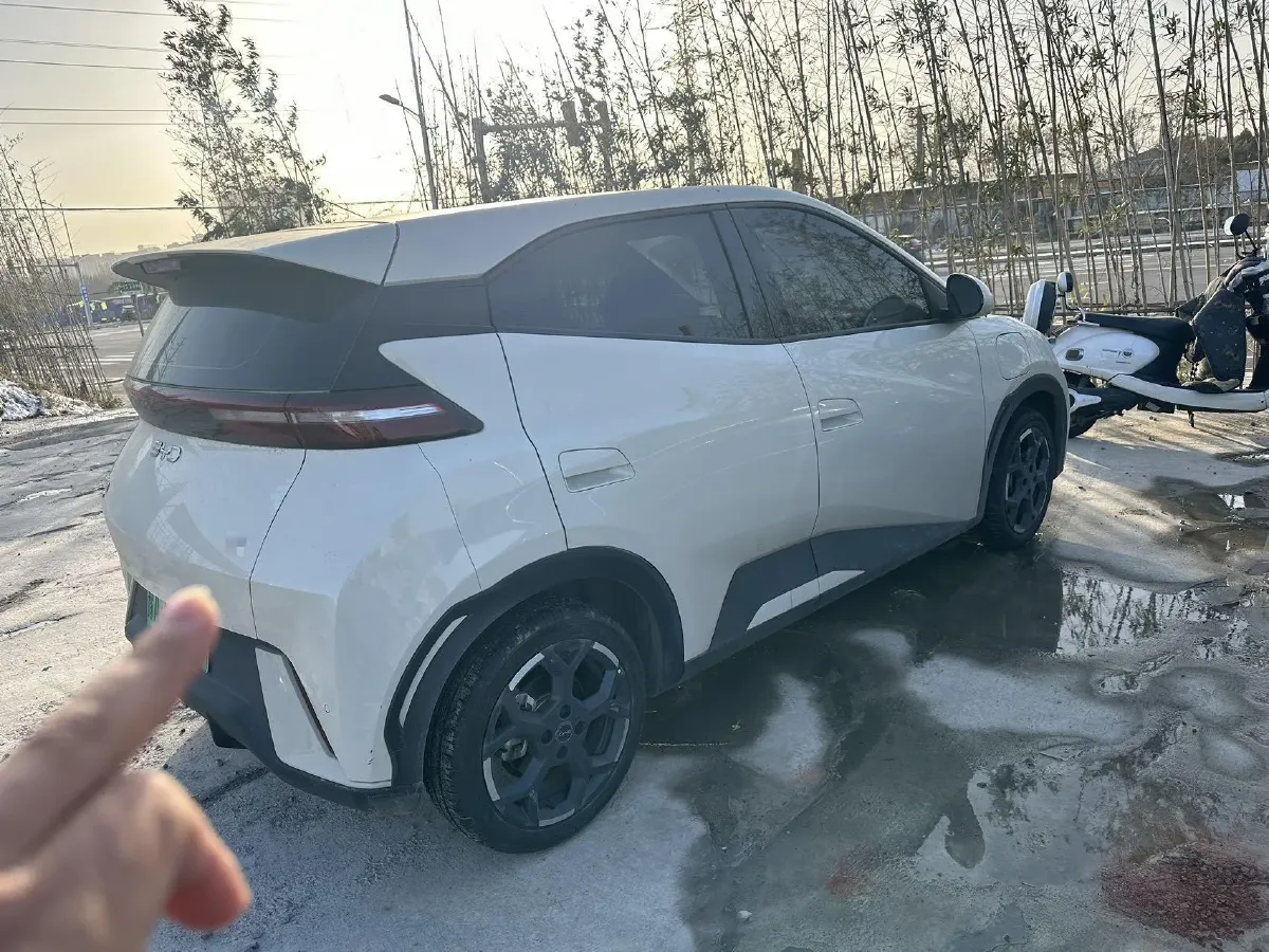 2025 BYD Seagull BEV 30.08KWH,autocango,china used car exporter,china ev exporter,chinese used car exporter,chinese used ev exporter