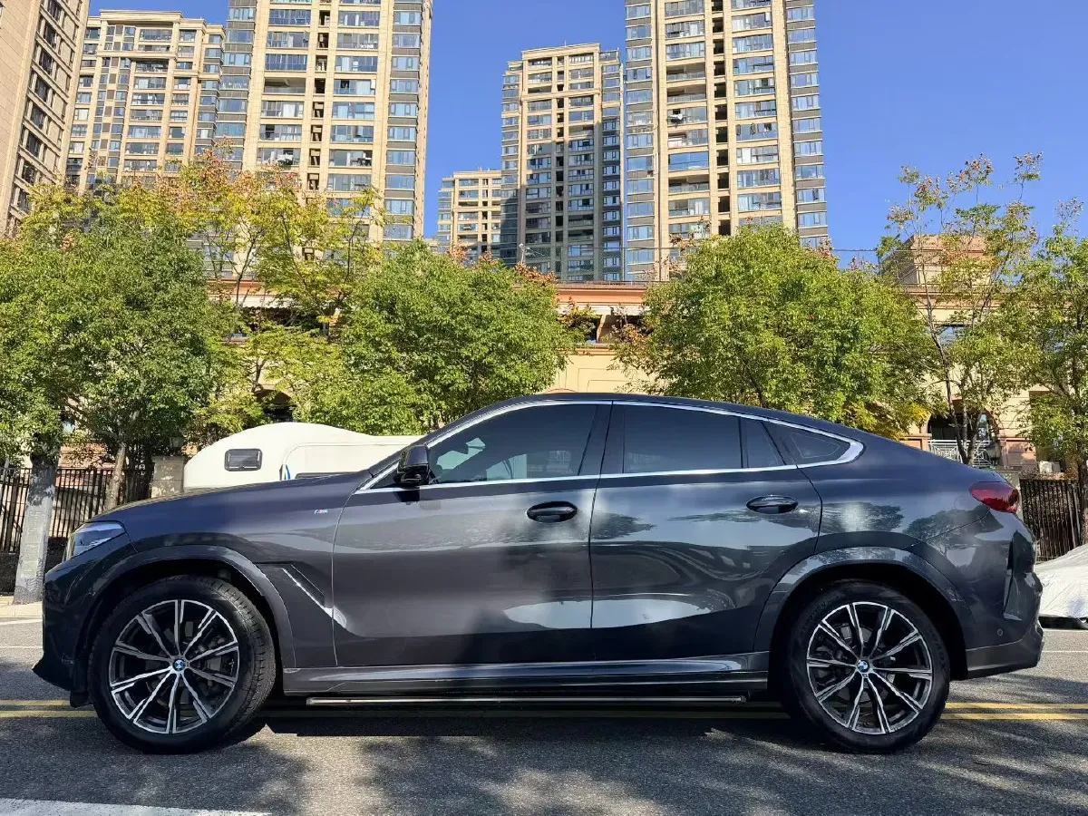 2021 BMW X6 2.0T 265HP L4 8AT,autocango,china used car exporter,china ev exporter,chinese used car exporter,chinese used ev exporter