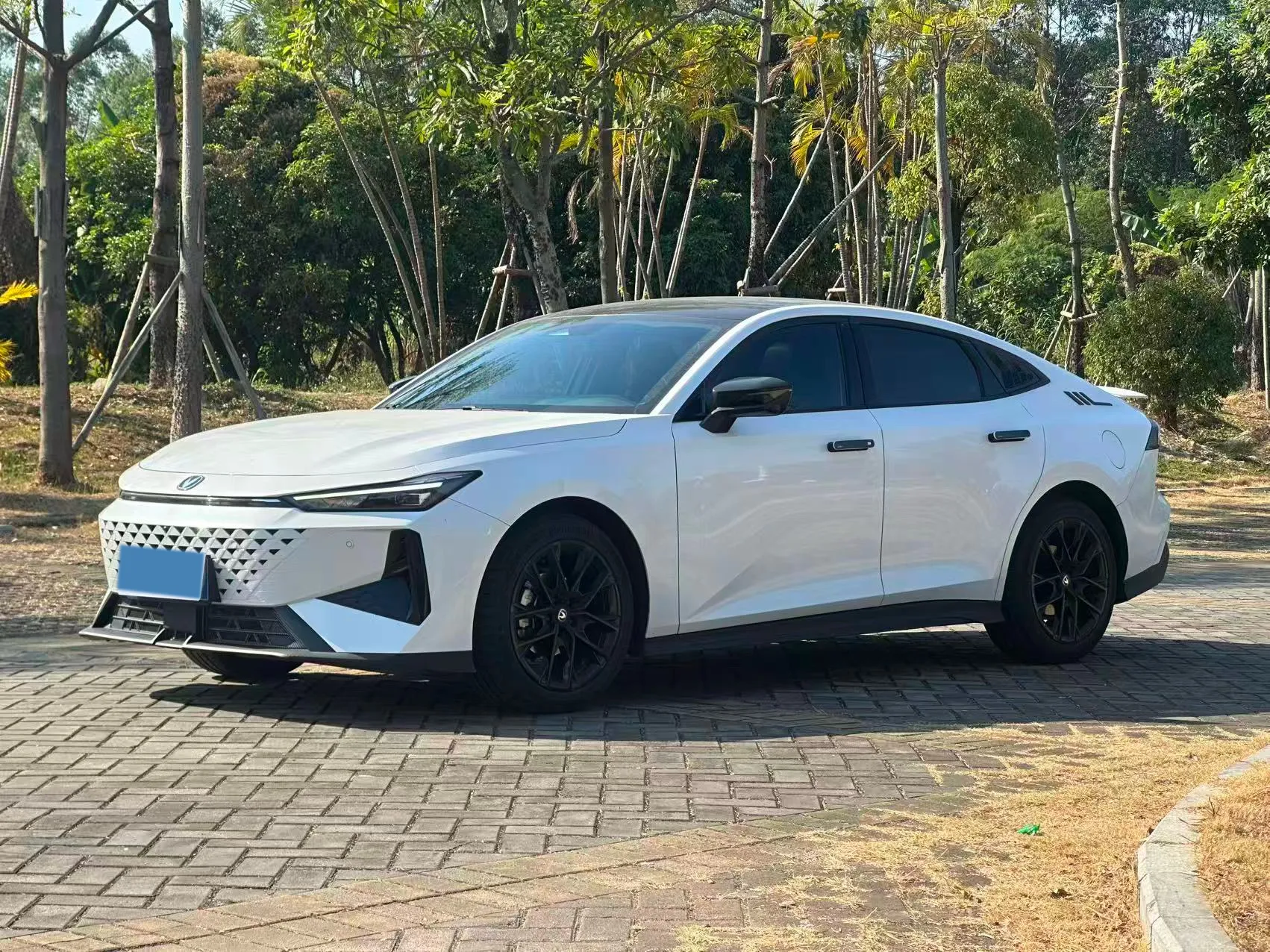 autocango,china used car exporter,china ev exporter,chinese used car exporter,chinese used ev exporter autocango,china used car exporter,china ev exporter,chinese used car exporter,chinese used ev exporter