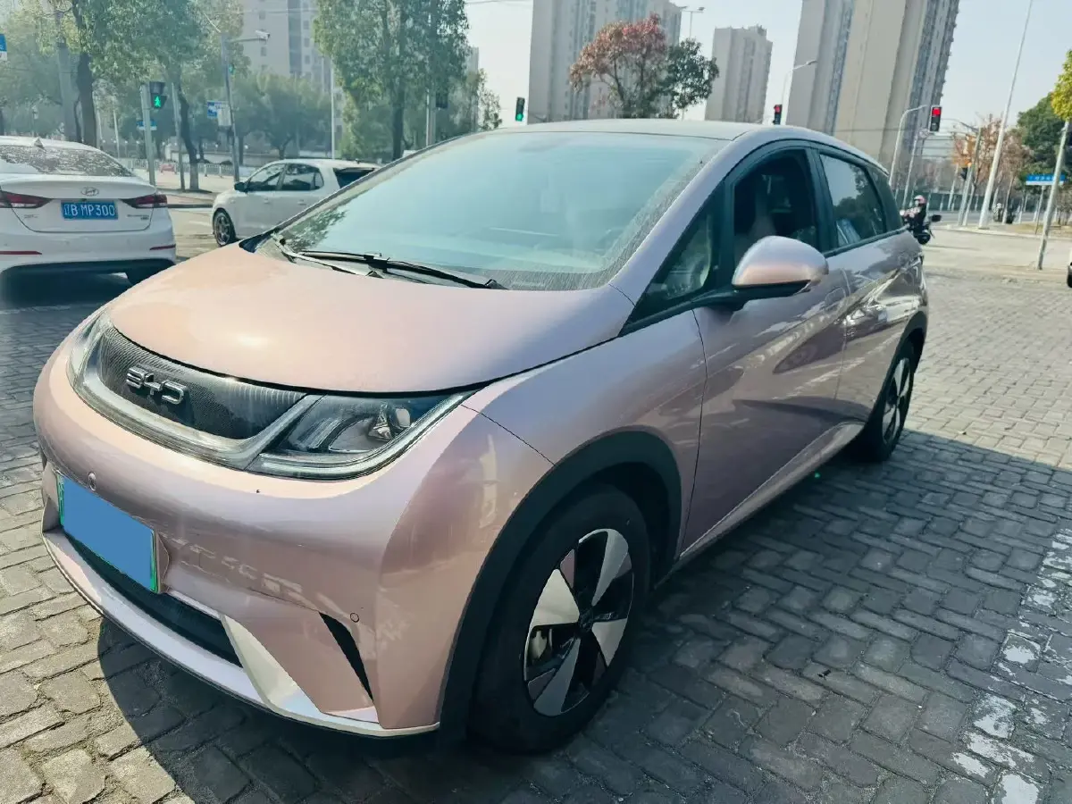 2023 BYD Dolphin BEV 44.928KWH 2023 BYD Dolphin BEV 44.928KWH